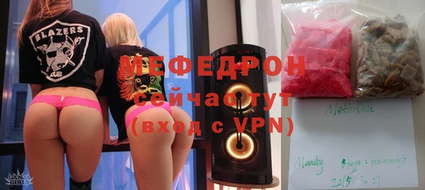 сатива Няндома