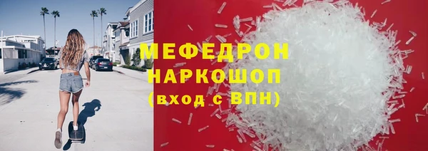 сатива Няндома
