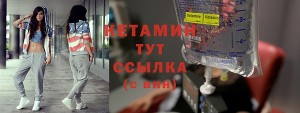 сатива Няндома