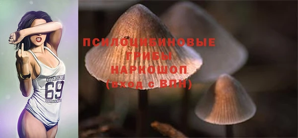 СК Нязепетровск
