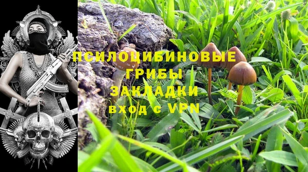 сатива Няндома