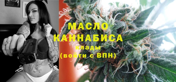 сатива Няндома