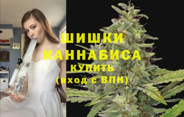 СК Нязепетровск