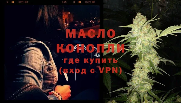 сатива Няндома