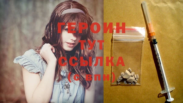 сатива Няндома