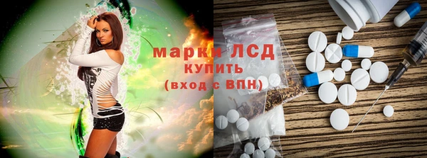 сатива Няндома