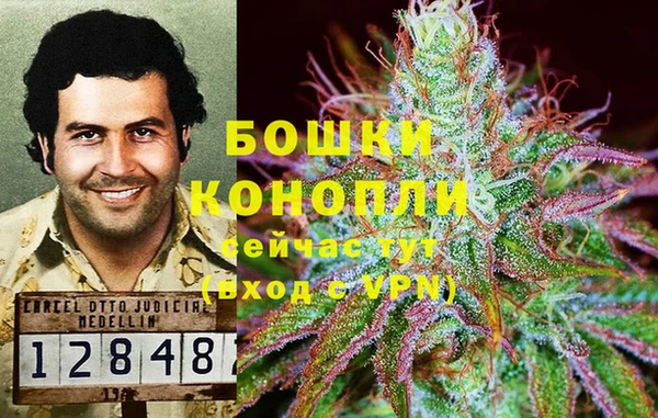 сатива Няндома